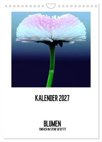 BLUMEN EINFACH IN SZENE GESETZT (Wandkalender 2027 DIN A4 hoch), CALVENDO Monatskalender