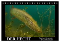 Der Hecht - Tauchen Sie ab mit Daniel Hohlfeld (Tischkalender 2027 DIN A5 quer), CALVENDO Monatskalender