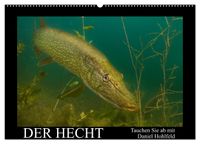 Der Hecht - Tauchen Sie ab mit Daniel Hohlfeld (Wandkalender 2027 DIN A2 quer), CALVENDO Monatskalender