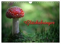 Glücksbringer (Wandkalender 2027 DIN A4 quer), CALVENDO Monatskalender