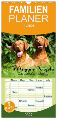 Familienplaner 2027 - Magyar Vizsla - Zauberhafte Kobolde mit 5 Spalten (Wandkalender, 21 x 45 cm) CALVENDO