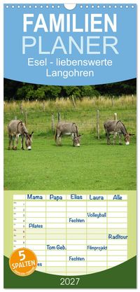 Familienplaner 2027 - Esel - liebenswerte Langohren mit 5 Spalten (Wandkalender, 21 x 45 cm) CALVENDO