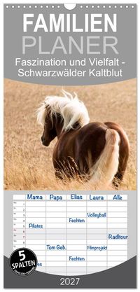 Familienplaner 2027 - Faszination und Vielfalt - Schwarzwälder Kaltblut mit 5 Spalten (Wandkalender, 21 x 45 cm) CALVENDO