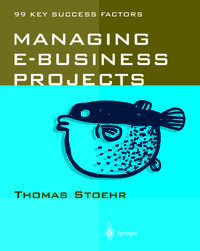 Managing e-business Projects
