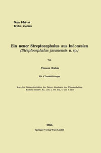 Ein neuer Streptocephalus aus Indonesien