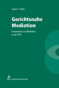 Gerichtsnahe Mediation