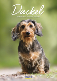 Dackel 2026