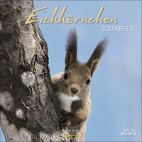 Eichhörnchen 2026