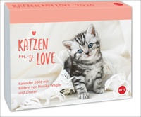 Katzen my love Tagesabreißkalender 2026