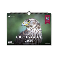 Greifvögel 2026