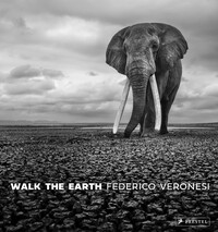 Walk the Earth