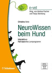 NeuroWissen beim Hund