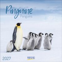 Pinguine 2027