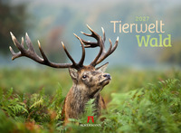 Tierwelt Wald Kalender 2027