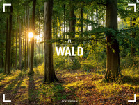 Wald Gallery Kalender 2026