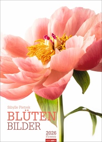 Blütenbilder Kalender 2026