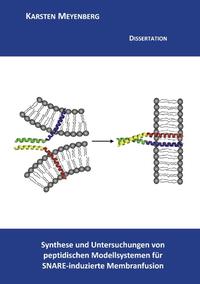 Synthese und Untersuchungen von peptidischen Modellsystemen für SNARE-induzierte Membranfusion