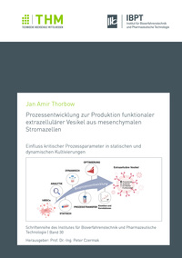 Prozessentwicklung zur Produktion funktionaler extrazellulärer Vesikel aus mesenchymalen Stromazellen