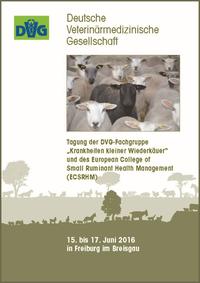 Tagung der DVG-Fachgruppe 