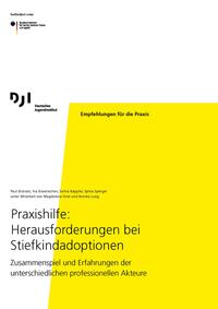 Praxishilfe: Herausforderungen bei Stiefkindadoptionen