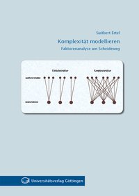 Komplexität modellieren : Faktorenanalyse am Scheideweg