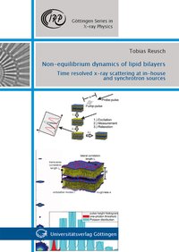 Non-equilibrium dynamics of lipid bilayers