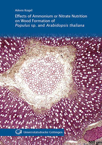Effects of Ammonium or Nitrate Nutrition on Wood Formation of Populus sp. and Arabidopsis thaliana