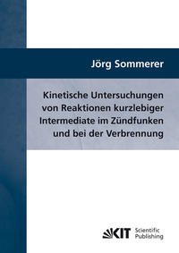 Kinetische Untersuchungen von Reaktionen kurzlebiger Intermediate im Zündfunken und bei der Verbrennung