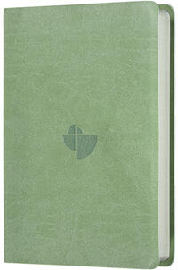 Schlachter 2000 Bibel - Taschenausgabe (PU-Einband, oliv, grauer Farbschnitt)