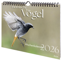 Heimische Vögel 2026