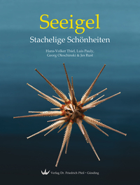 Seeigel – Stachelige Schönheiten