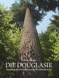 Die Douglasie