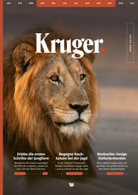 WILDFUL STORIES Kruger Park Guide