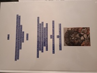 Franz Klutschak (1814-1886) Ein Leben in Lettern im Prag des Königreichs Böhmen