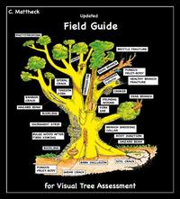 Updated Field Guide for Visual Tree Assessment