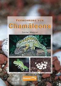Vermehrung von Chamäleons