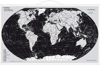 Weltkarte Silberedition