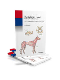 Muskelatlas Hund (Softcover)