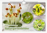 Dauer-Kalender: 