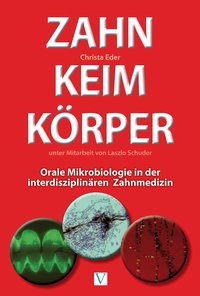 Zahn Keim Körper