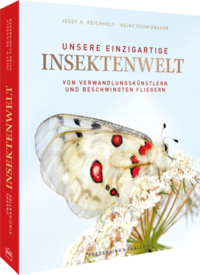 Unsere einzigartige Insektenwelt