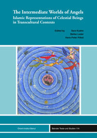 The Intermediate Worlds of Angels