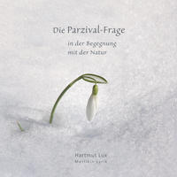 Die Parzival-Frage