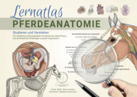 Lernatlas Pferdeanatomie