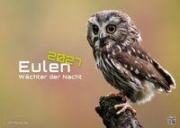 Eulen - Wächter der Nacht - 2027 - Kalender DIN A2