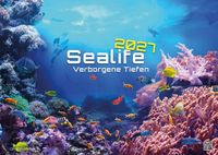 Sealife - verborgene Tiefen - 2027 - Kalender DIN A2