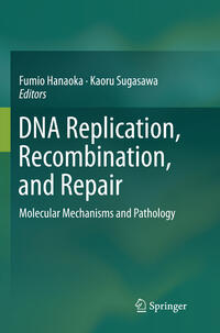 DNA Replication, Recombination, and Repair