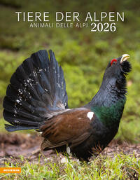 Tiere der Alpen - Kalender 2026