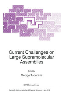 Current Challenges on Large Supramolecular Assemblies