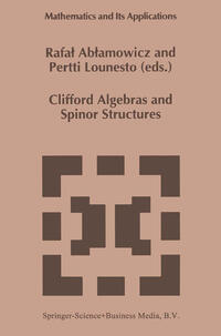 Clifford Algebras and Spinor Structures